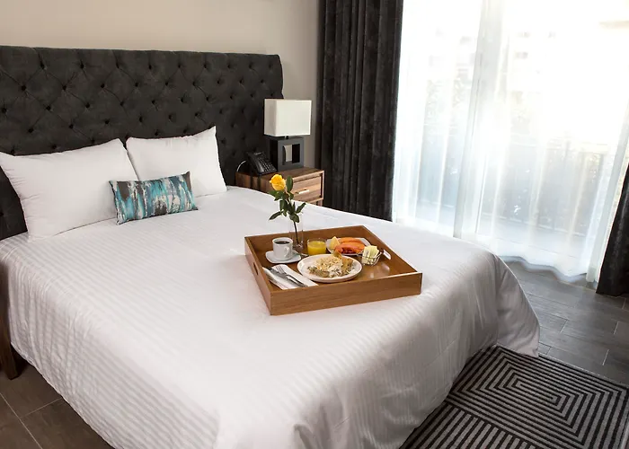 Suites Rio Elba